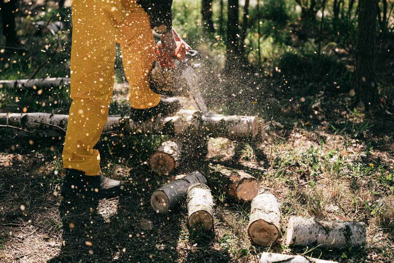 Best Tree Trimming Near Me  in Sugarmill Woods, FL